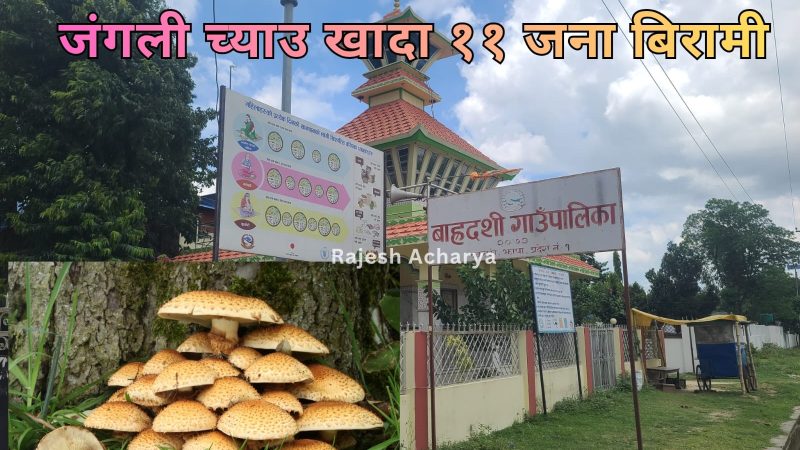 बाहदशीमा जंगली च्याउ खाँदा ११ जना बिरामी